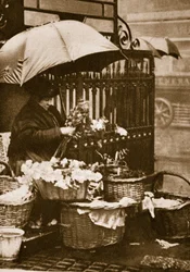 A flower seller at Piccadilly Circus